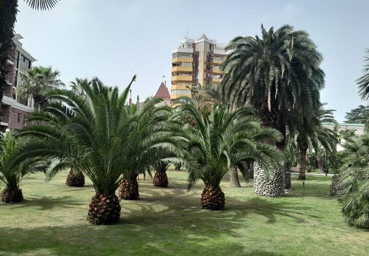 Сочи по ценам на недвижимость обогнал Бали