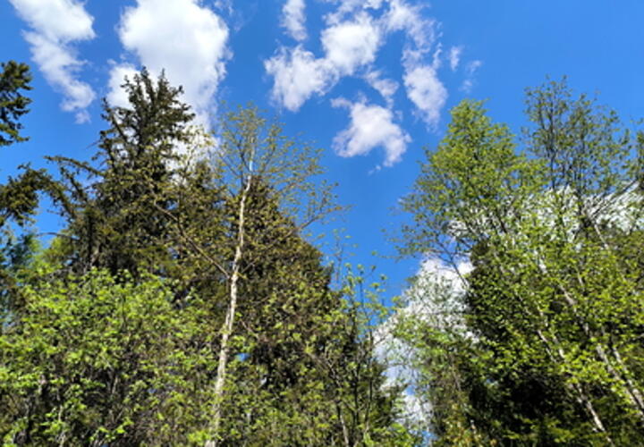 Зафиксирован максимальный УФ-индекс