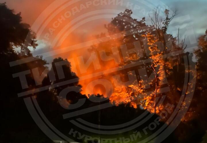 В Сочи крупный пожар произошел на территории старого городского кладбища