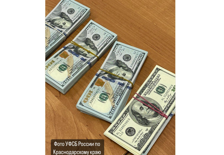 В Сочи осудили контрабандистку, которая незаконно привезла из-за границы деньги