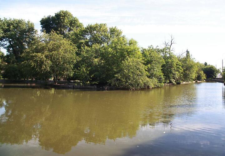 Власти Краснодара намерены потратить  почти 3 млн рублей на очистку грязного пруда в Городском Саду