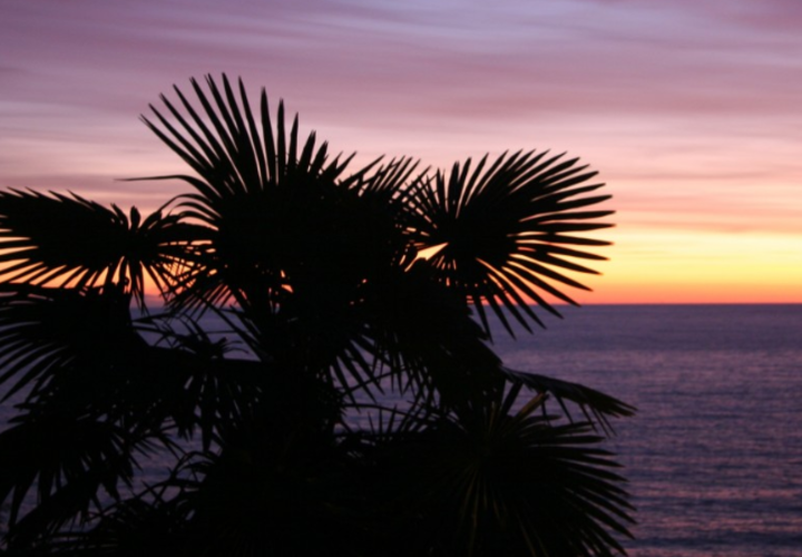 Курорты и отели уже присоединились к благотворительной акции