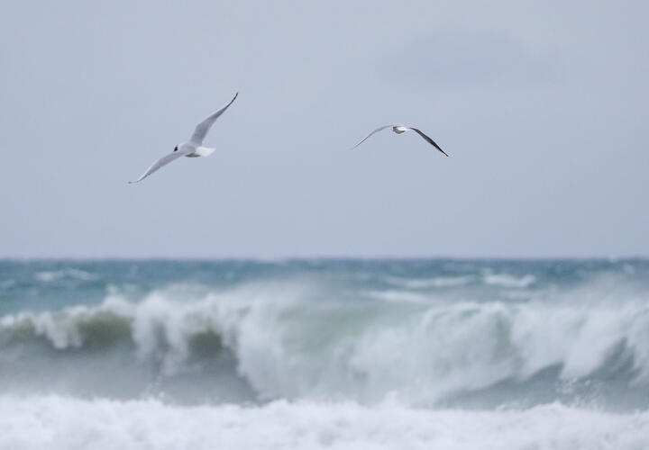 Всё ещё ветрено: какая погода будет на Кубани 26 мая