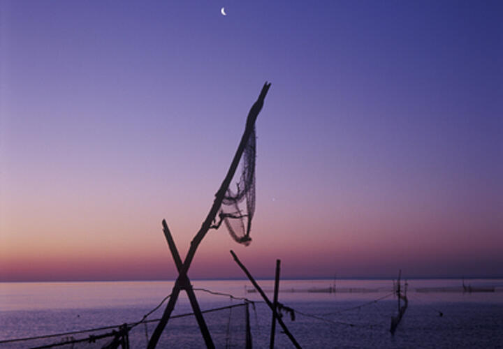 Фото: Alexander Nosovsky/Global Look Press