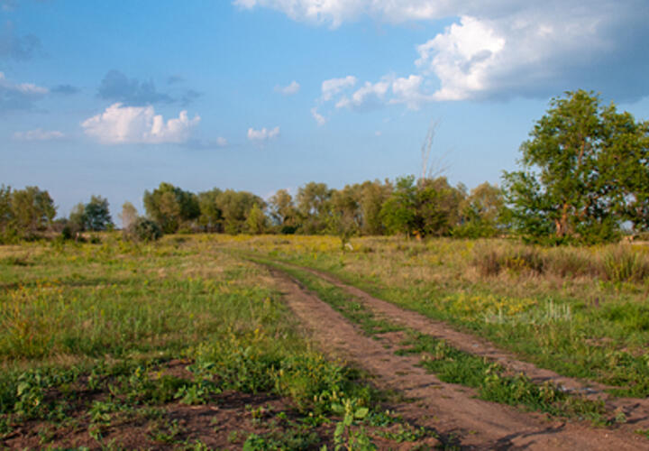 139 участников СВО получили земельные участки на Кубани