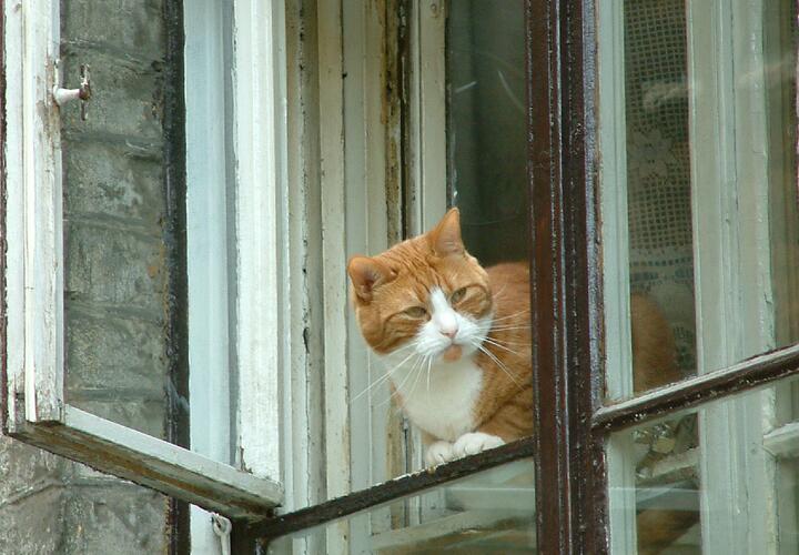 +32: какая погода будет на Кубани 21 июня