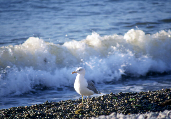 +34: какая погода будет на Кубани 10 июня