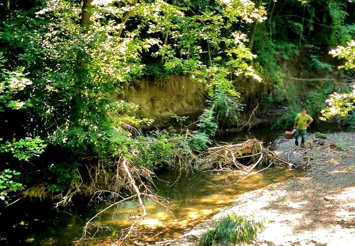 Бревна и коряги: русла рек в Туапсинском районе Кубани забил древесный мусор