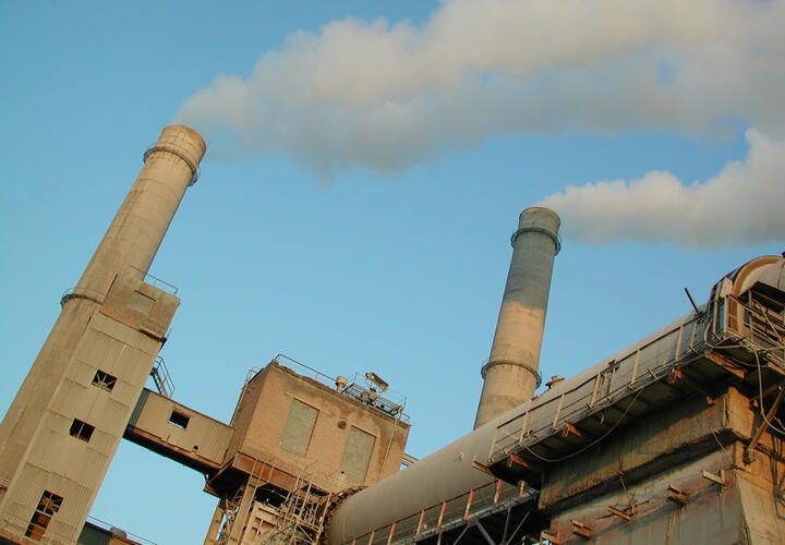 Цементный завод «Горный» судится с властями Новороссийска, чтобы вырубить 61 га леса