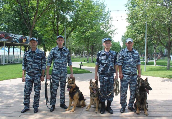 На Кубани без вести пропавшего  77-летнего дедушку пять дней искали в лесу полицейские