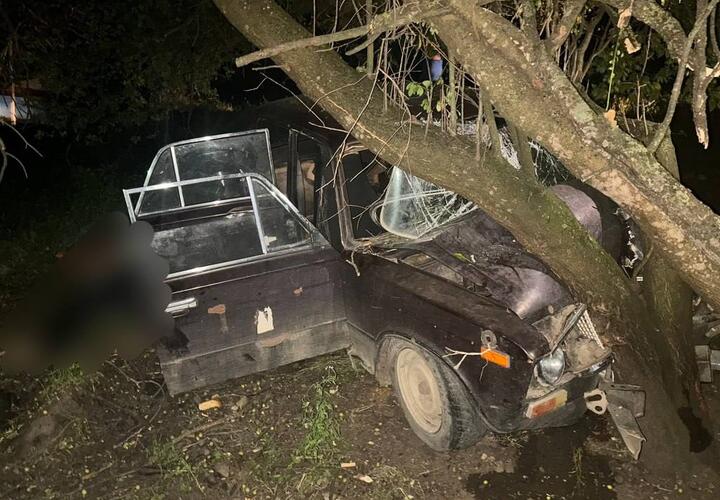 На Кубани мужчина, не имевший водительских прав, на машине врезался в дерево и погиб