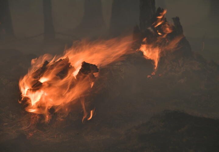 Ночью в Геленджике случился пожар