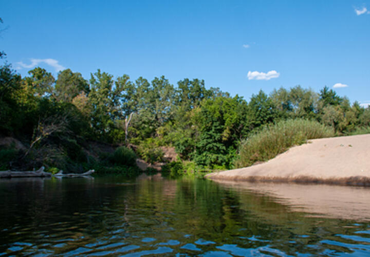 О погоде в Краснодарском крае 23 июня рассказали синоптики