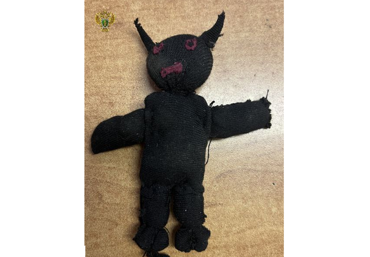 Отрубленные головы птиц и тряпичные куклы: «потомственный маг» с Кубани обманом выманил у доверчивой женщины почти 4 млн рублей