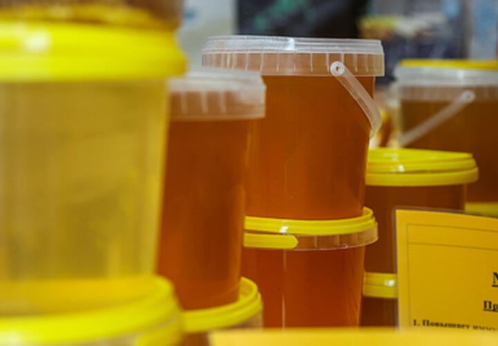 Прозрачный мед и свежие фрукты: в Краснодаре работают ярмарки выходного дня