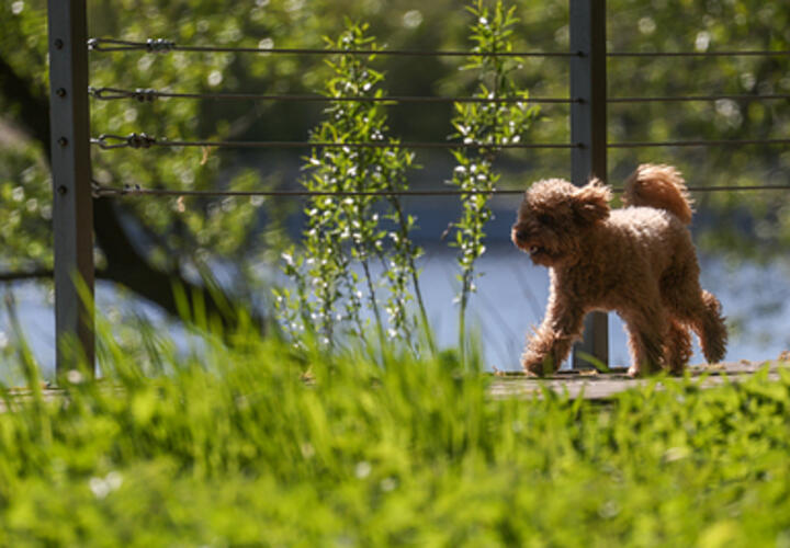 Синоптики рассказали о погоде на Кубани 18 июня