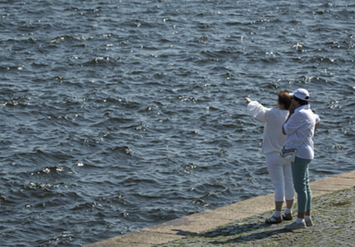 Стало известно, сколько будет стоить поездка на морском транспорте от Сочи до Анапы