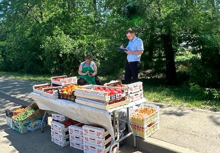 Только за один месяц в Краснодаре обнаружены около 300 незаконных торговых точек