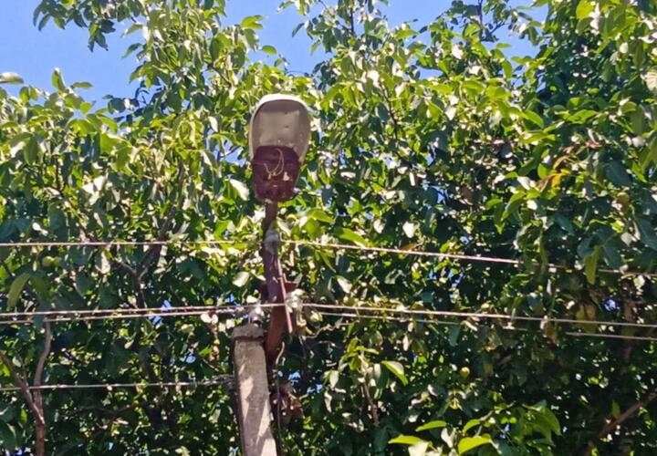 В посёлке Новоивановском на Кубани неизвестный расстрелял уличный фонарь из пневматического оружия