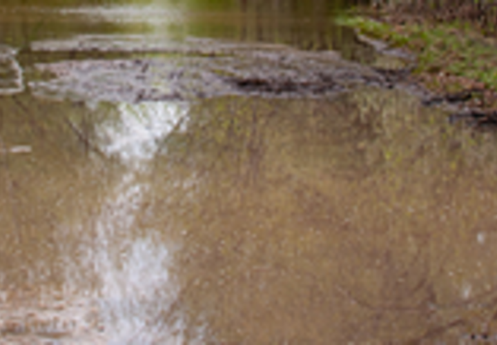 Местные экоактивисты бьют тревогу