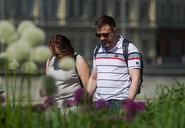 Вывод профессора подтверждает и анализ зарубежных специалистов