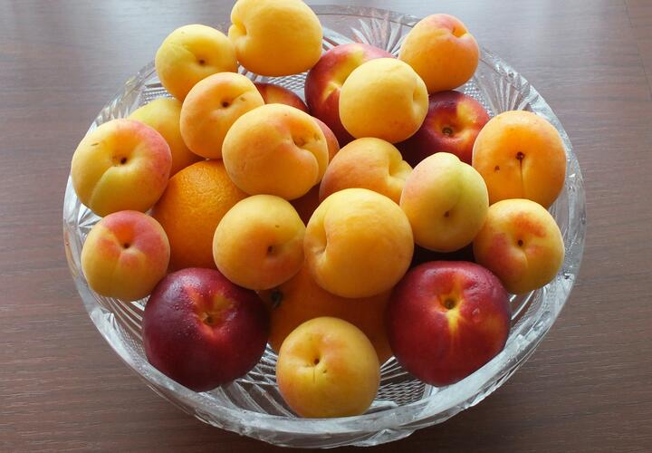 Вред и польза абрикосов, нутрициологи рассказали кому можно, а кому нельзя есть этот плод