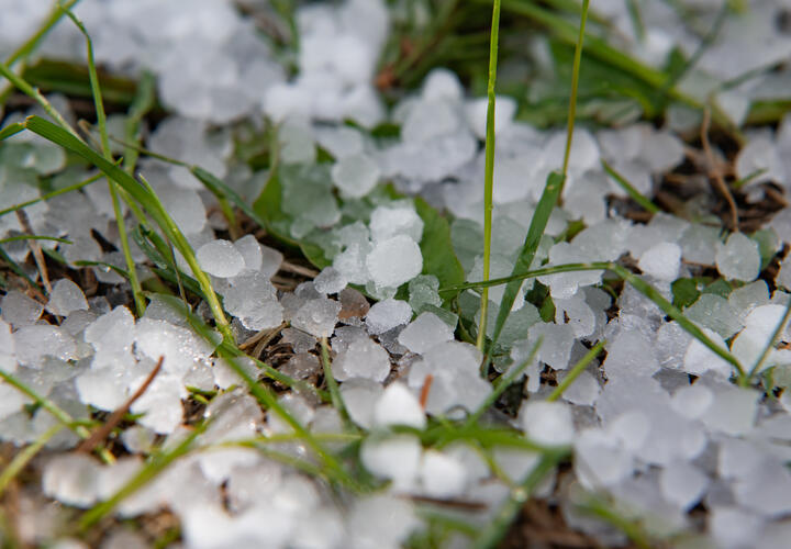 Всё сразу: чрезвычайная пожароопасность и гроза с градом и ветром до 23 м/с ожидаются на Кубани сегодня и завтра
