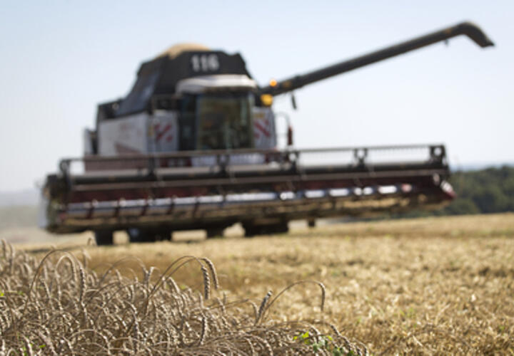 Хлеборобы Краснодарского края, несмотря на засуху, собрали больше урожая, чем в прошлом году