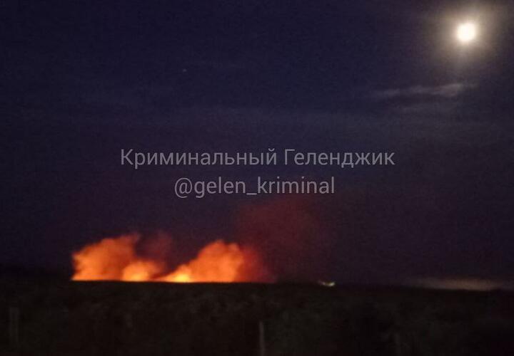 Крупный пожар в Геленджике локализован на двух гектарах