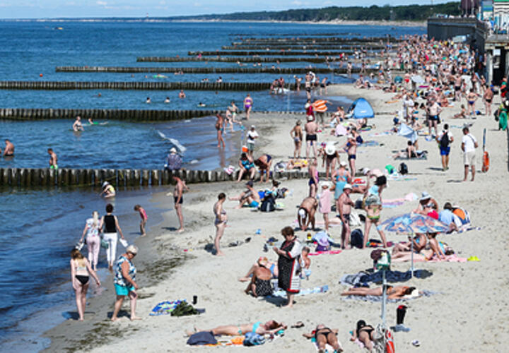 Выполнено 25 тысяч проб