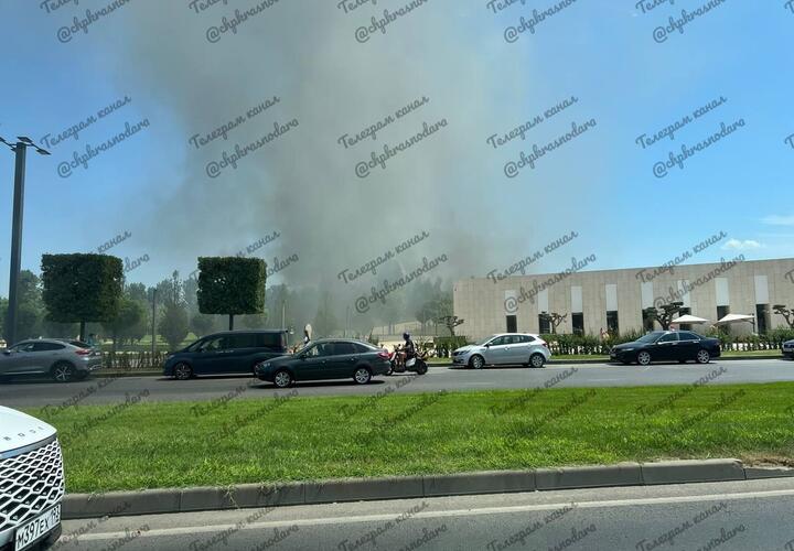 Сотрудники парка  Галицкого в Краснодаре объяснили, что у них горит