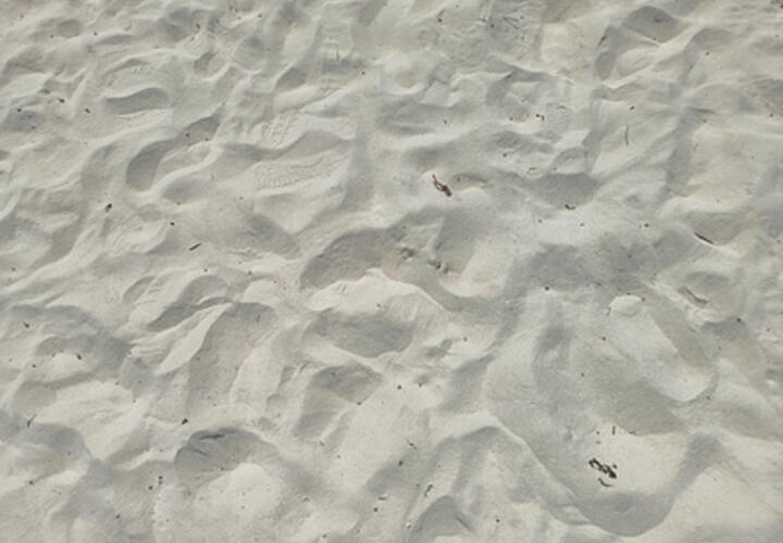 Три подростка «зиговали» и выкрикивали нацистские лозунги на пляже в Краснодарском крае