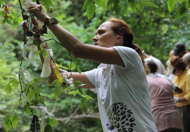 Тысячи «ленточек желаний» уничтожили в Сочинском нацпарке волонтёры