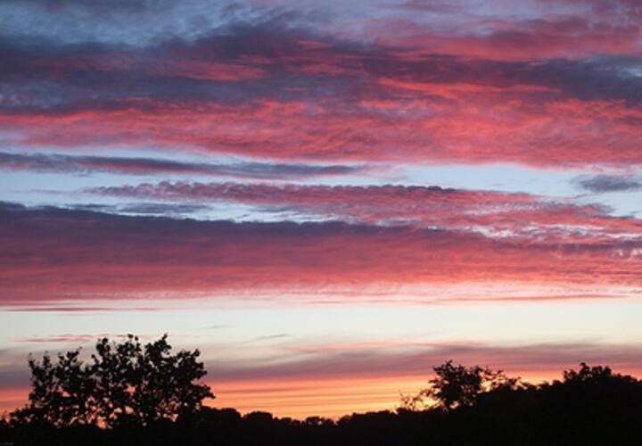 Ужасный пожар в Абрау-Дюрсо, очередь из 1400 автомобилей перед Крымским мостом: ТОП-5 за 15 июля