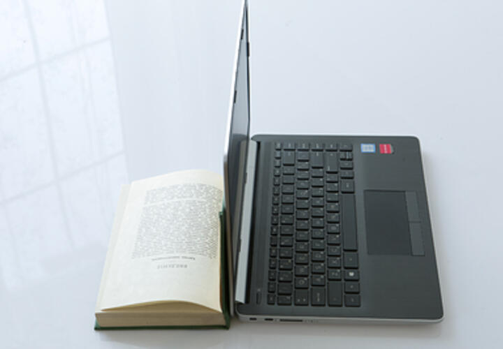 В парке Галицкого цветет огненное дерево, в Сочи загорелось здание суда: ТОП-5 за 10 июля