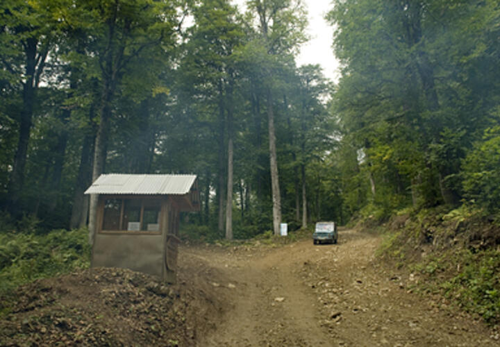 Туристы рискуют жизнями, соглашаясь на экстремальные поездки 