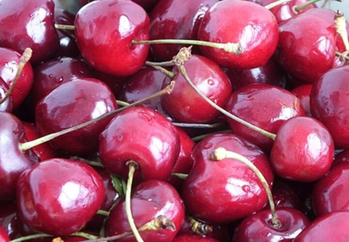 Съедать черешни можно не больше 300 граммов в день