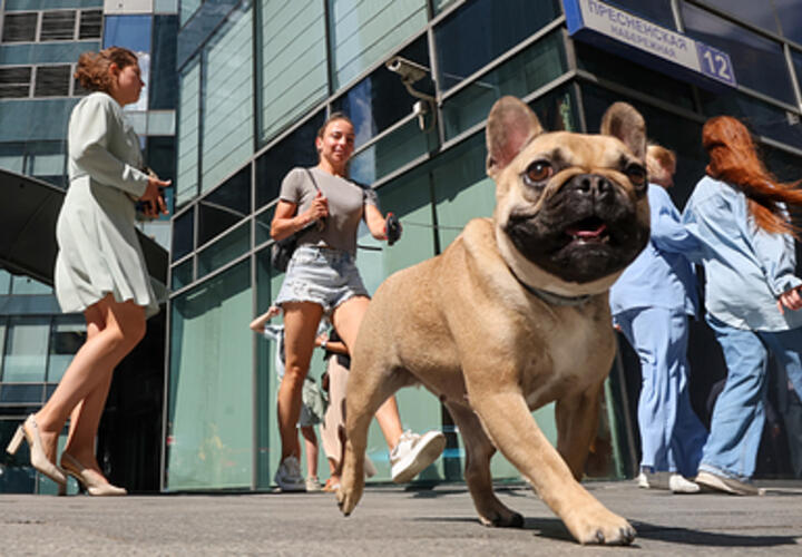 Выше + 35: в Краснодаре вновь обновился температурный рекорд