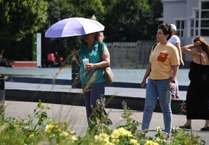  Жара и ветер: синоптики рассказали о погоде на Кубани 14 июля