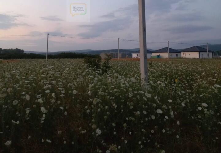 Жительница Кубани может лишиться дома, за который ей выплачивать ипотеку ещё 30 лет