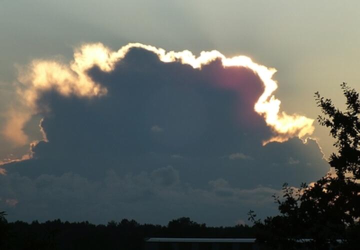 19-летняя девушка погибла в ДТП на Кубани, задержанный чиновник владел зданием со службой судебных приставов: ТОП-5 за 11 августа