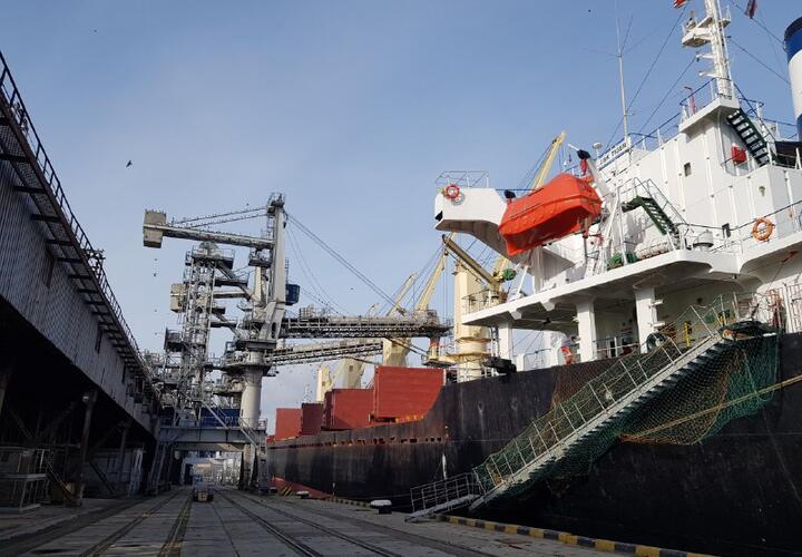 Бесплатно из Новороссийска в Африку отправили 25 тысяч тонн пшеницы