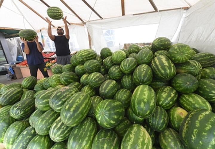 Чем может быть опасен арбуз, рассказали в Роспотребнадзоре Кубани