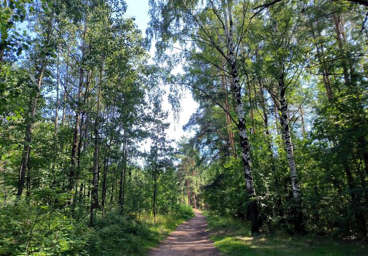 До конца лета людей не будут пускать в леса Краснодарского края