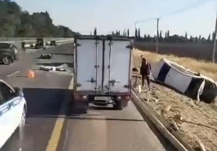 Два перевёрнутых автомобиля и погибший мотоциклист: страшное ДТП случилось под Краснодаром