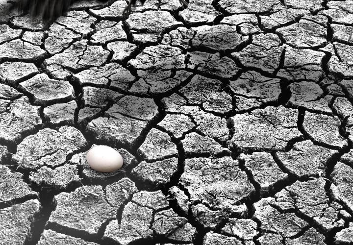 На Кубани от рекордно высоких температур пересохла река