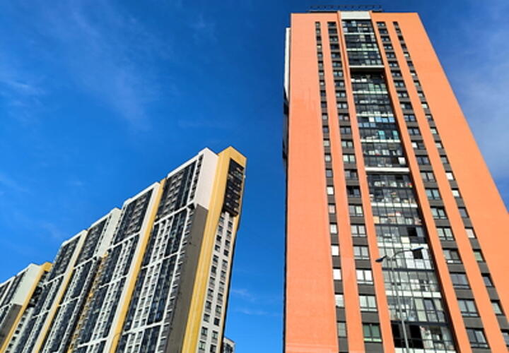 Серые обои и белые двери: выяснилось, как россияне предпочитают оформлять свои квартиры и дома