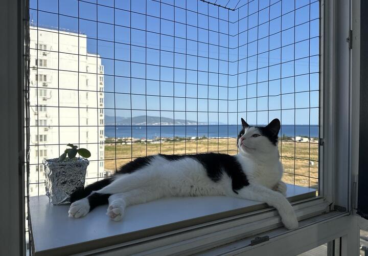 Снова душно: о погоде на Кубани 10 августа