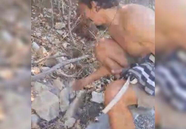 В Геленджике поймали предполагаемого поджигателя леса