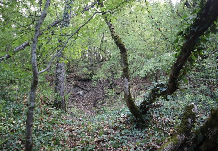 В Кабардинке в лесу нашли сохранившиеся землянки времен Великой Отечественной войны